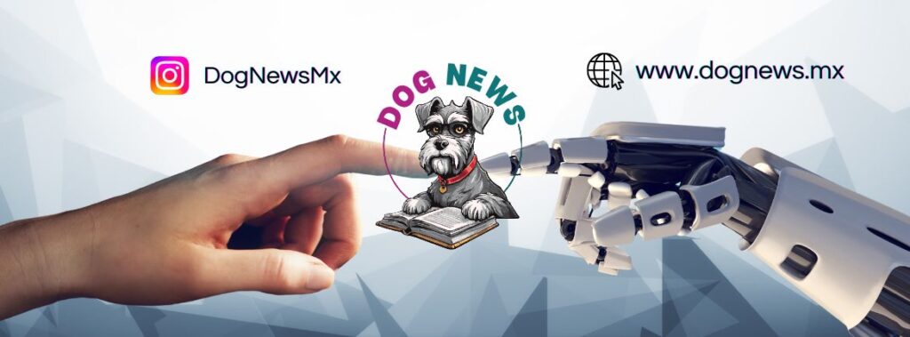 Dog news mx